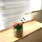 شقة Mechlers Stuben