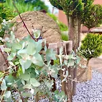 شقة Mechlers Stuben *