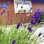 شقة Mechlers Stuben *