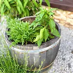 شقة Mechlers Stuben *