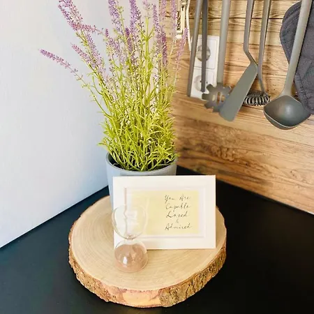 Апартаменты Mechlers Stuben *