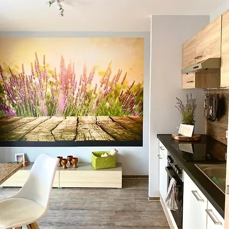 Апартаменты Mechlers Stuben Sellessen