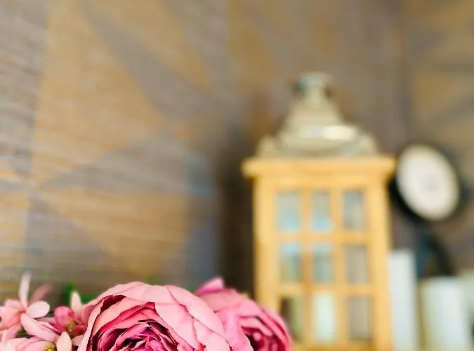 Mechlers Stuben * Sellessen