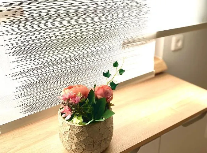 Apartman Mechlers Stuben