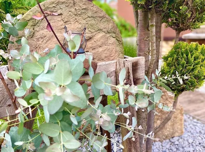 Lägenhet Mechlers Stuben *